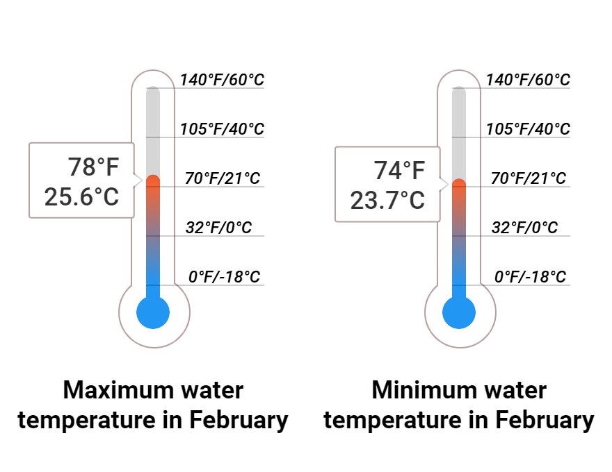 Average Sea temperature